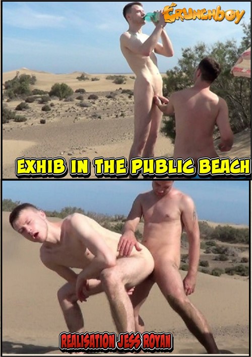 Exhib in the Public Beach Boxcover