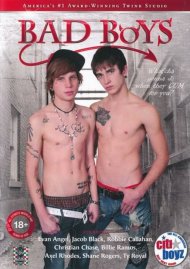 Bad Boys Boxcover