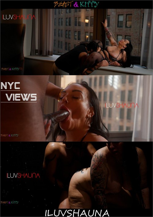 ILuvShauna NYC Views