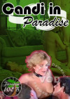 Candi In Paradise Boxcover