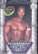 The Pledges Of Gamma Beta Mu Boxcover