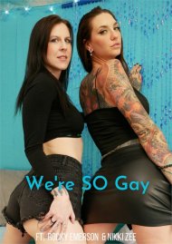 We're SO Gay Boxcover