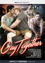 Gay Together Boxcover