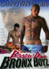 Boogie Down Bronx Boyz Boxcover