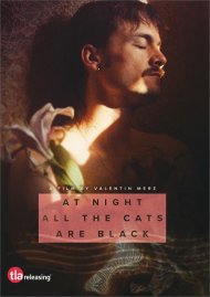 At Night All the Cats Are Black gay porn DVD from TLA Releasing
