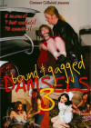 Bound & Gagged Damsels 3 Boxcover