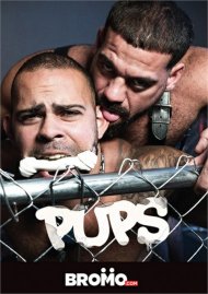 Pups Boxcover