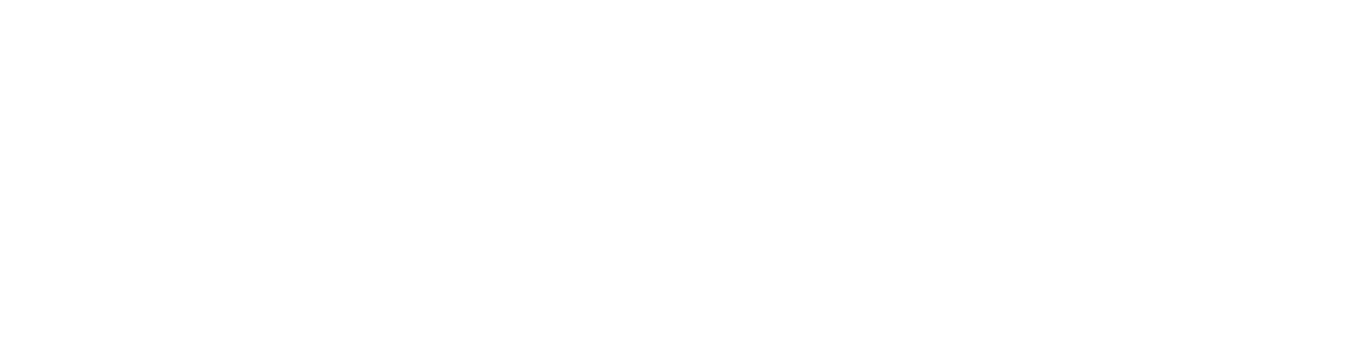 Vixen Store Logo